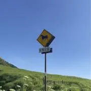 さむらい