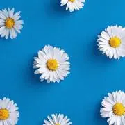 oto