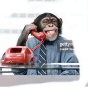 ニタの画像