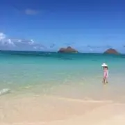 hitominの画像