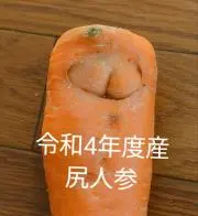四十路の老兵
