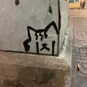 Sakkanaの画像