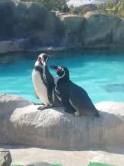 まこ 即購入okの画像