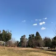 ラクダの画像