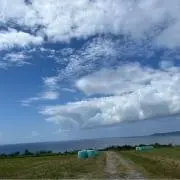 さいとう さちか