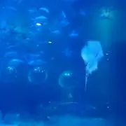 るんるんの画像