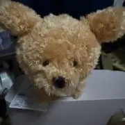 ゆー