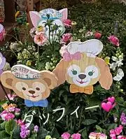 みっきい