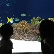 LiLiCalの画像