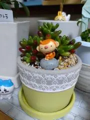 ☆Kママ☆（満足いくお取引目指してます）の画像
