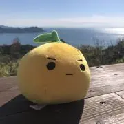 ぺんぺんの画像