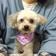 よーちゃん