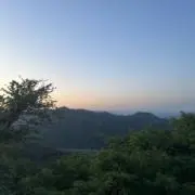 もるの画像