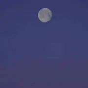 THREEの画像