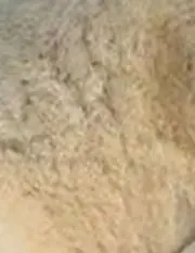 aoyamaの画像