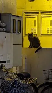 こうの画像
