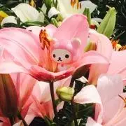 どーなつの画像