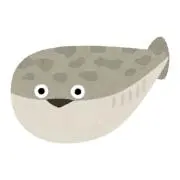 ぬいの画像