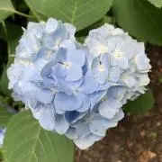 美品】サロモン スキーウェアズボン Mサイズ 緑（青との中間） - メルカリ