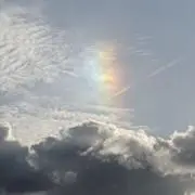わたあめの画像