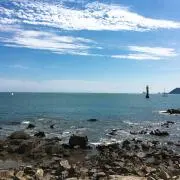 せせせの画像