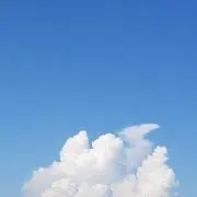 チョコチップ