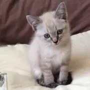 ミチの画像