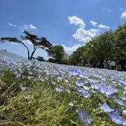 ファントム