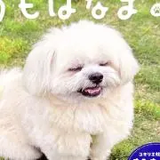 多田野｜プロフ一読お願いしますの画像