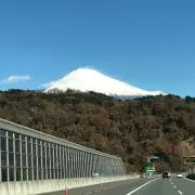 ポピートの画像
