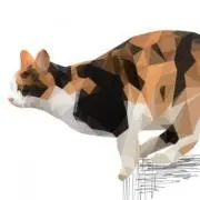 lazyの画像