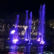 タケ　即日発送の画像