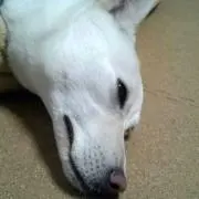 ユウタ