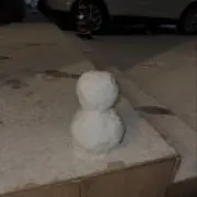みかんの画像