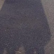 みのけ