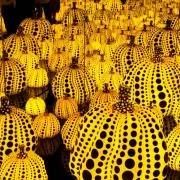 Moanaの画像