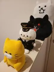 ほわいとの画像