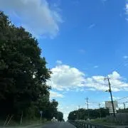 るーの画像