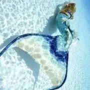 Melodyの画像