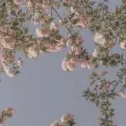 ♡の画像
