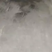 ごれる