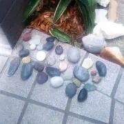 むらの画像