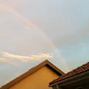ルア