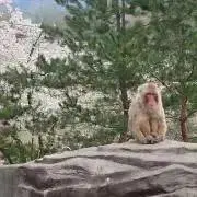 さとごろうの画像