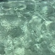 断捨離中！の画像
