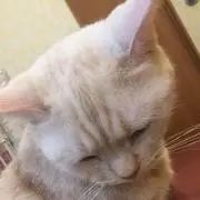 すぴ★引越し大断捨離中！！！の画像