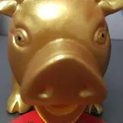 ABCの画像