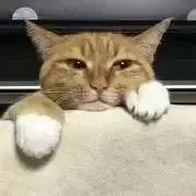 海わらび