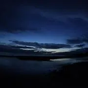 stingrayの画像