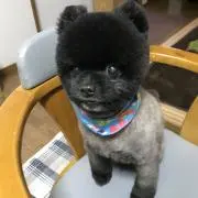 ゆりちwith Ｔの画像